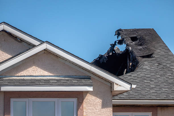 Top rated local Fire Damage Removal specialists in Cranbury, NJ
